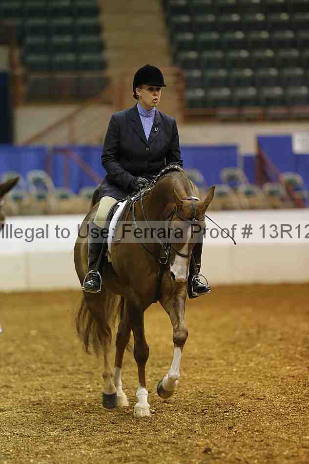 Proof Number 13r12_3032