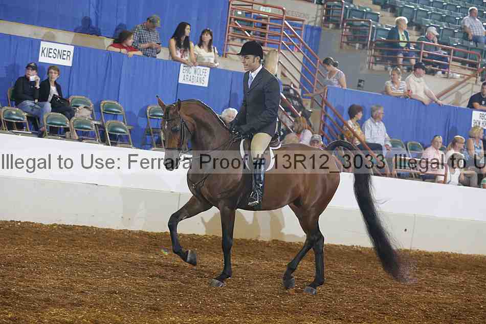Proof Number 13r12_3033