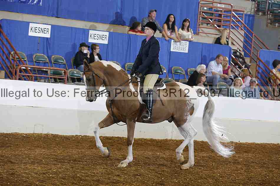 Proof Number 13r12_3037