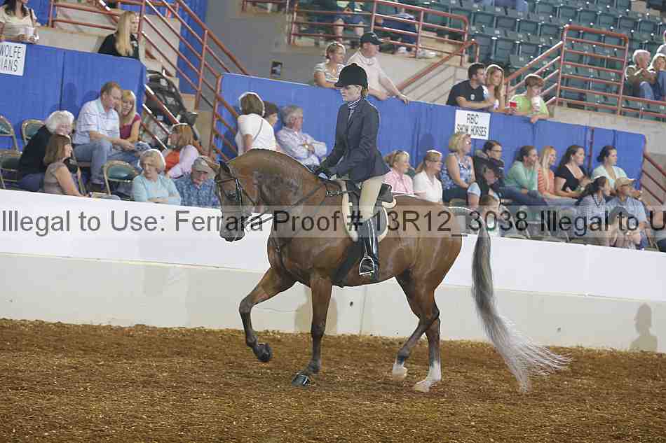 Proof Number 13r12_3038