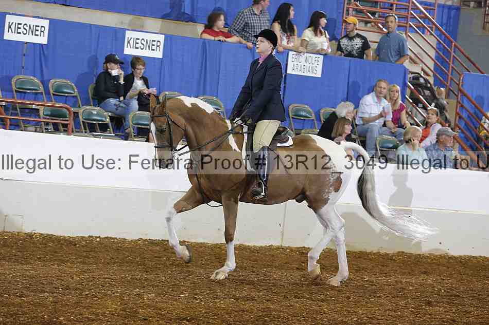 Proof Number 13r12_3049