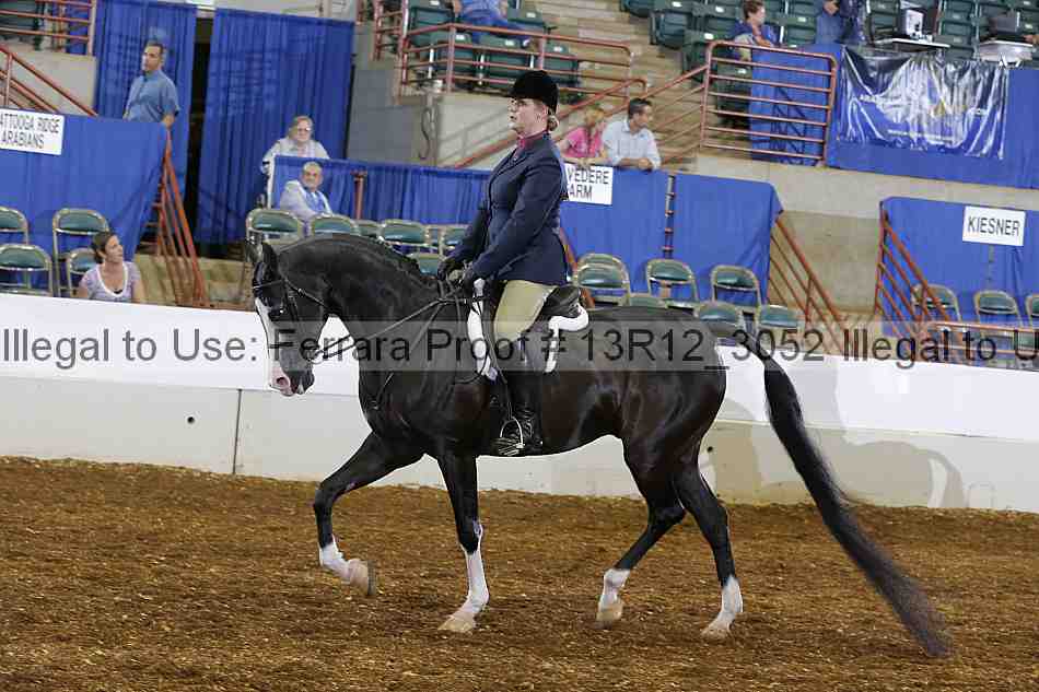 Proof Number 13r12_3052