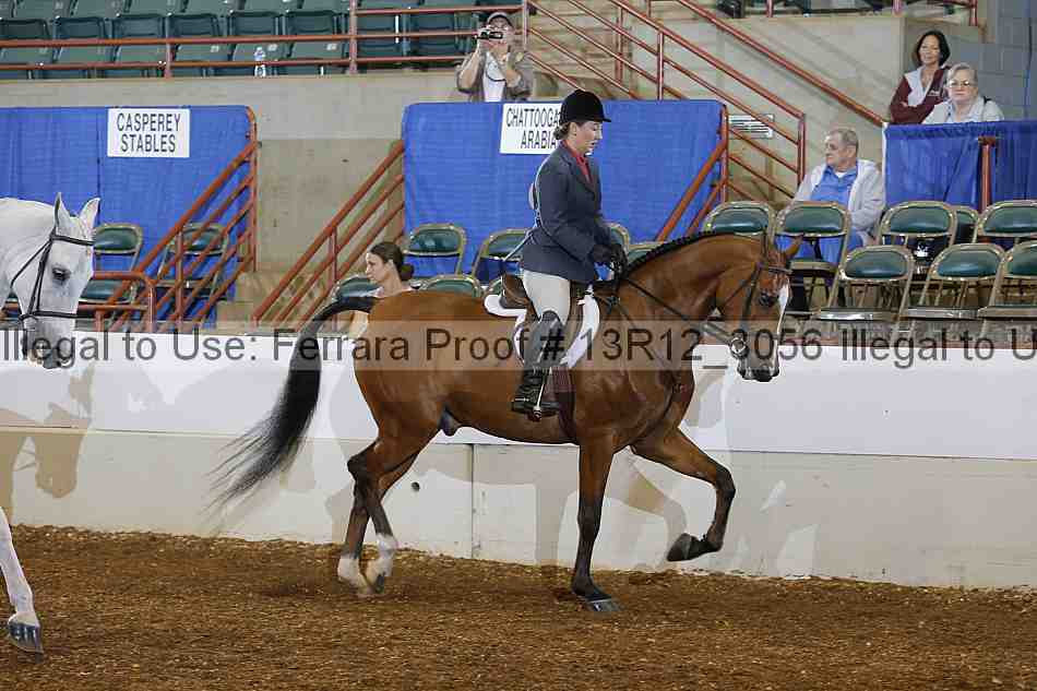 Proof Number 13r12_3056