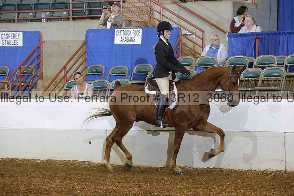 Proof Number 13r12_3060