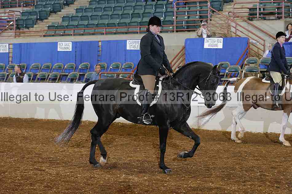 Proof Number 13r12_3063