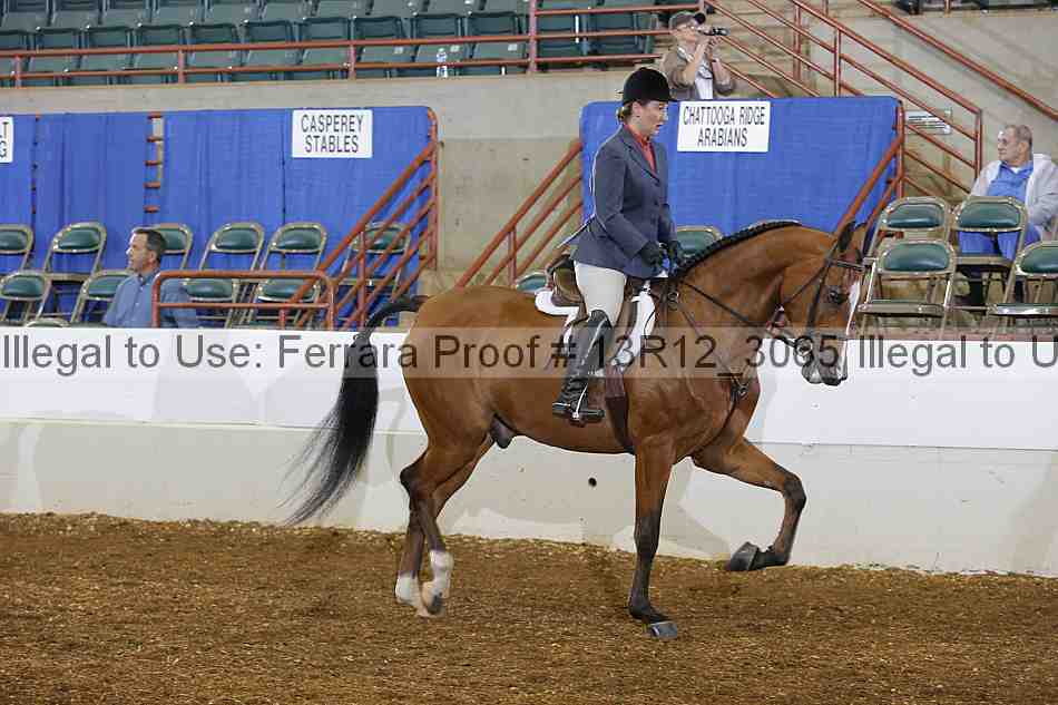 Proof Number 13r12_3065
