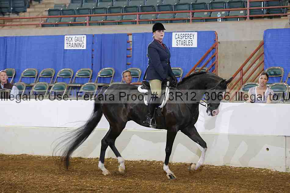 Proof Number 13r12_3066
