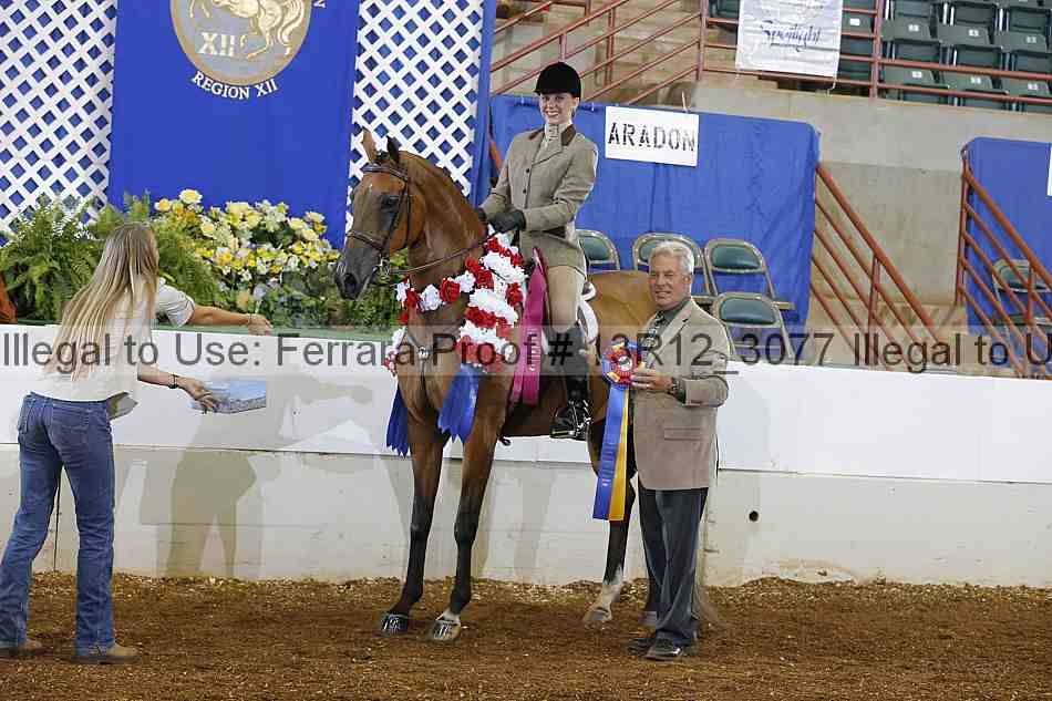 Proof Number 13r12_3077