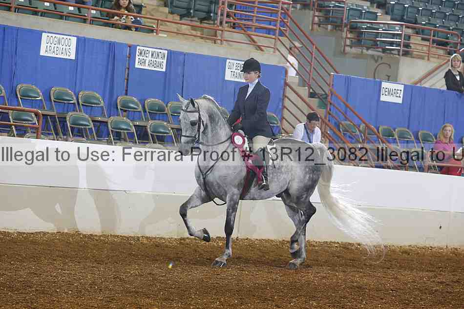 Proof Number 13r12_3082