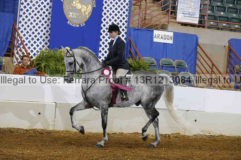 Proof Number 13r12_3084