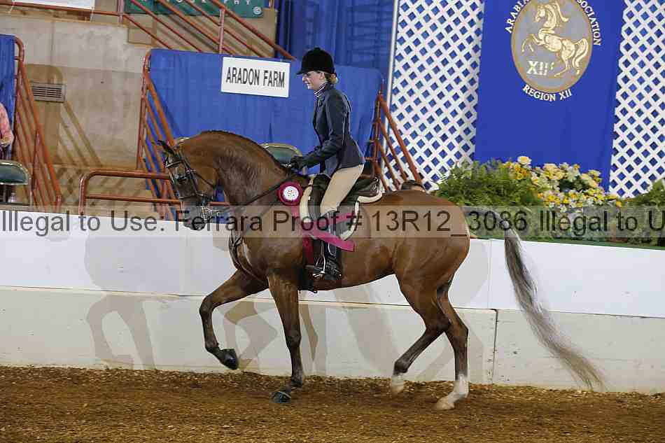 Proof Number 13r12_3086