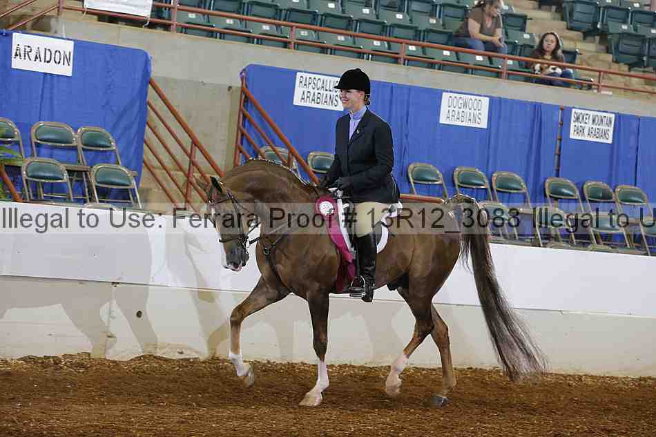 Proof Number 13r12_3088