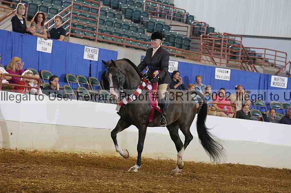 Proof Number 13r12_3092