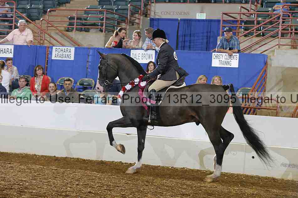 Proof Number 13r12_3095