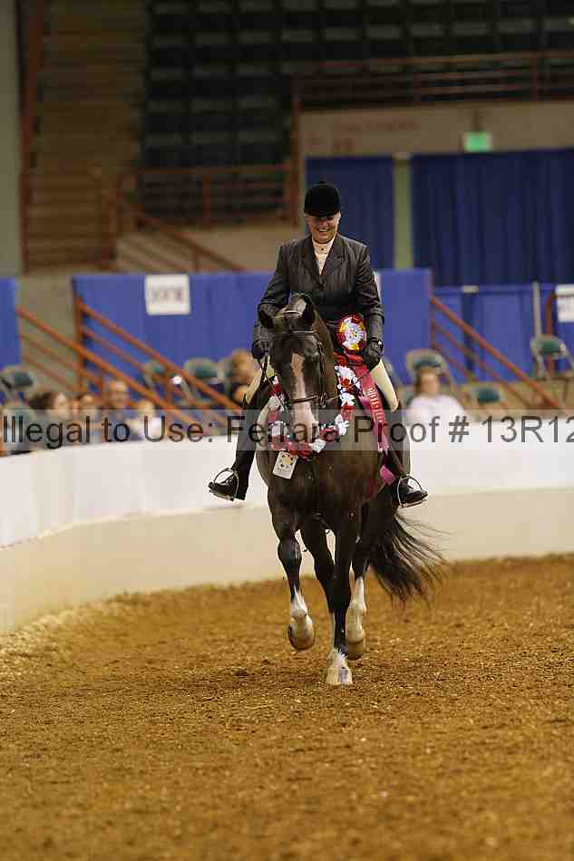 Proof Number 13r12_3096