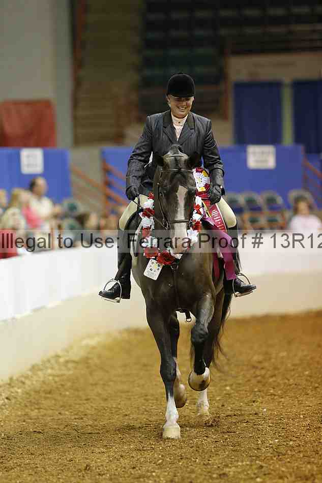 Proof Number 13r12_3097