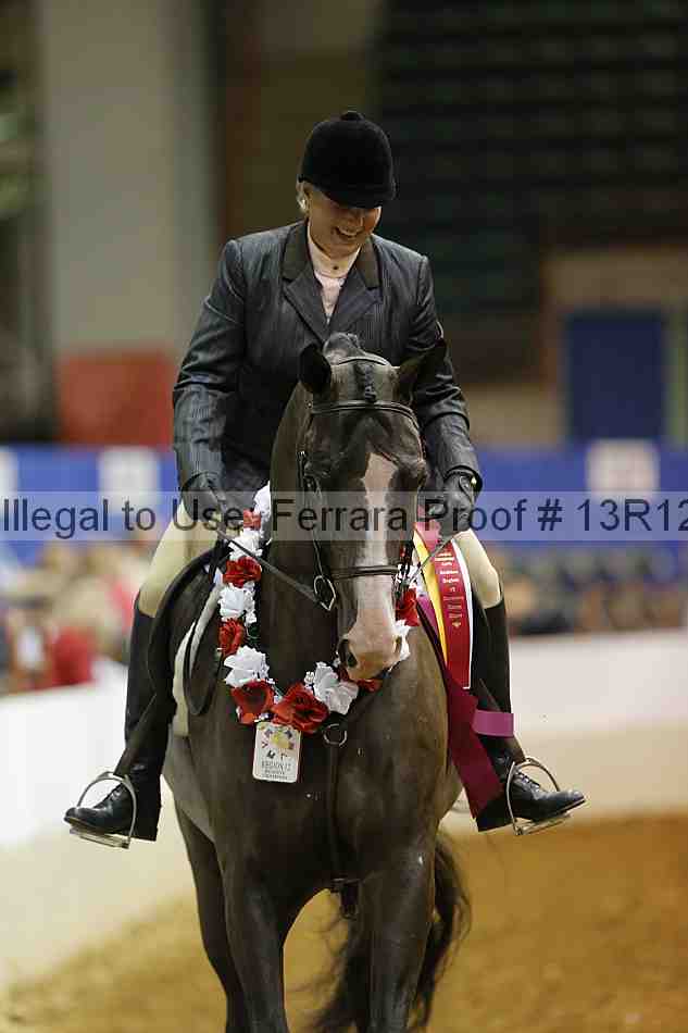 Proof Number 13r12_3098