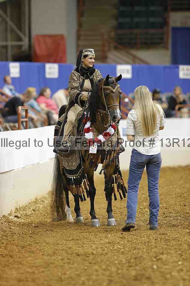 Proof Number 13r12_3135