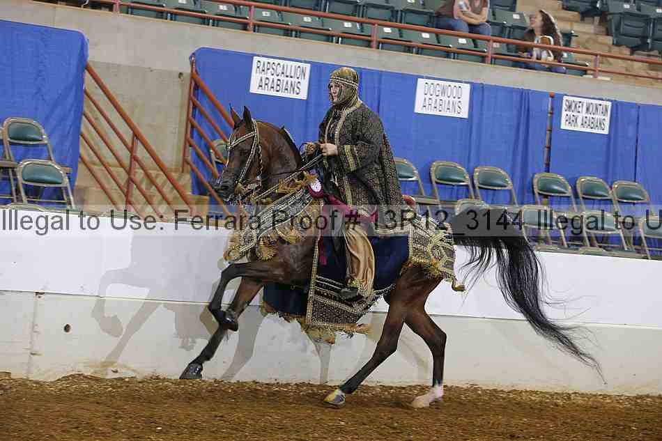 Proof Number 13r12_3144