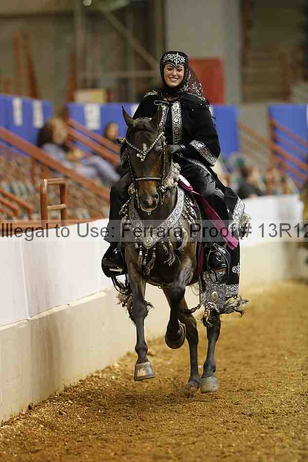 Proof Number 13r12_3146