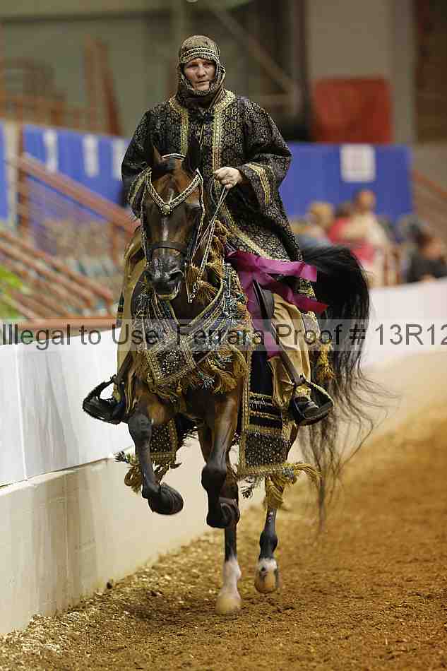 Proof Number 13r12_3147