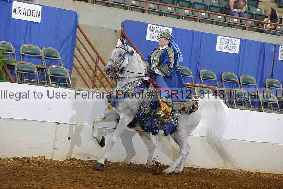 Proof Number 13r12_3148
