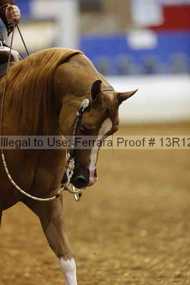 Proof Number 13r12_3192
