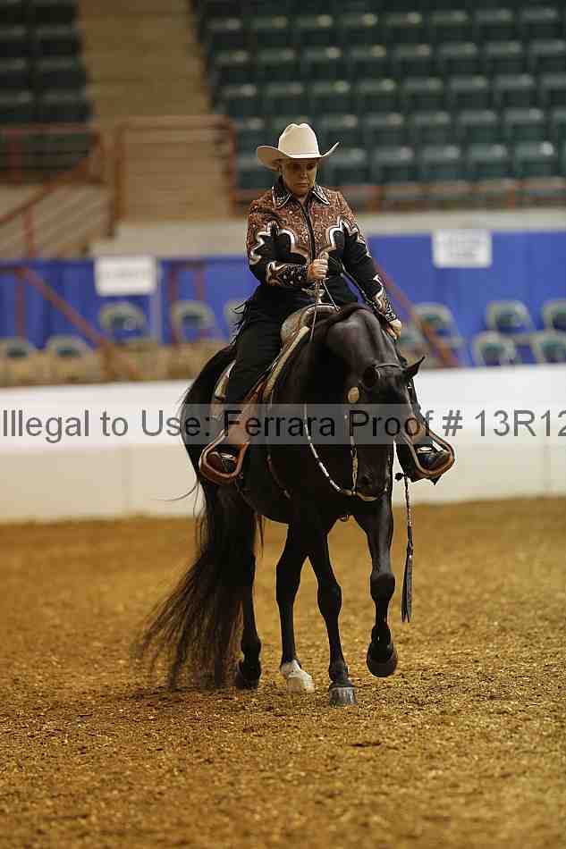 Proof Number 13r12_3200