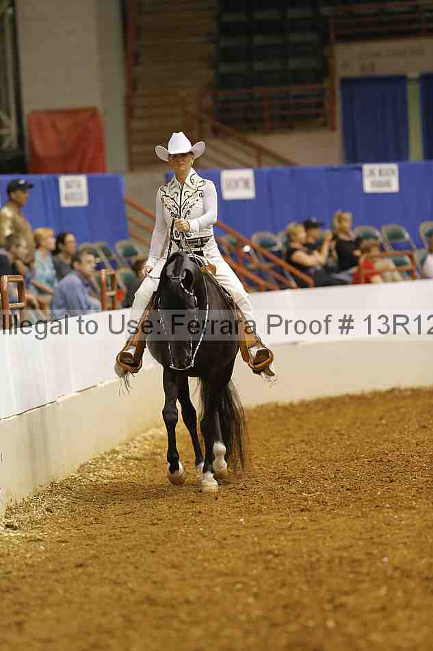 Proof Number 13r12_3207