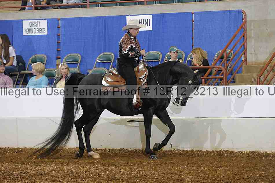 Proof Number 13r12_3213