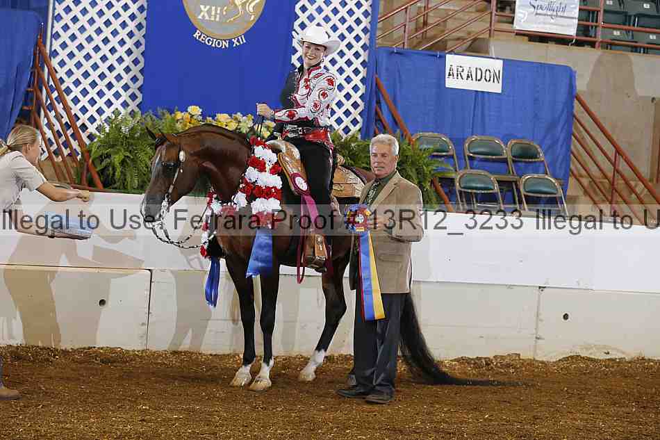 Proof Number 13r12_3233