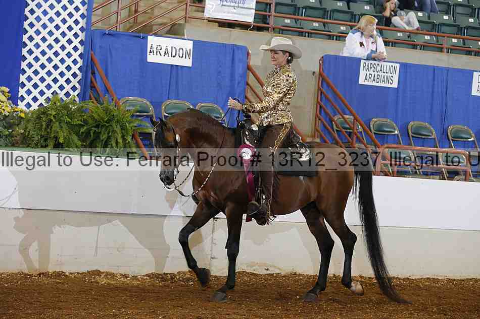 Proof Number 13r12_3237