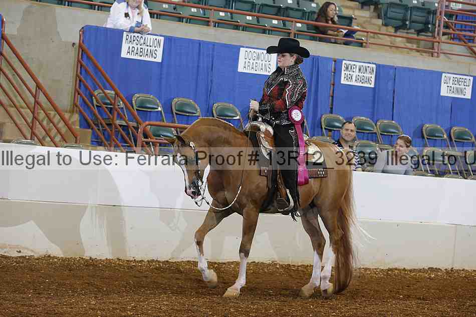 Proof Number 13r12_3239