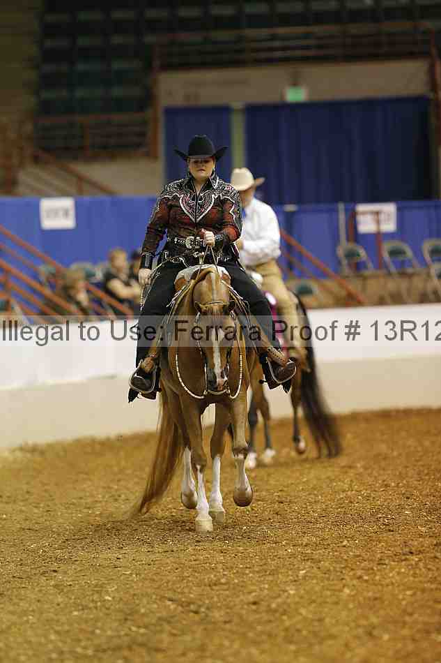 Proof Number 13r12_3241