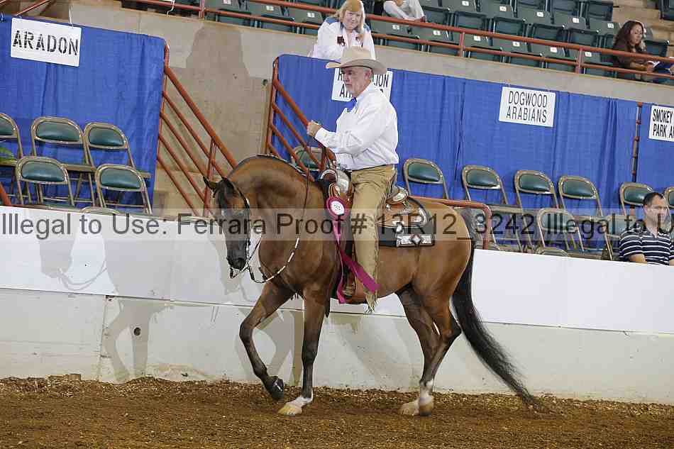 Proof Number 13r12_3242