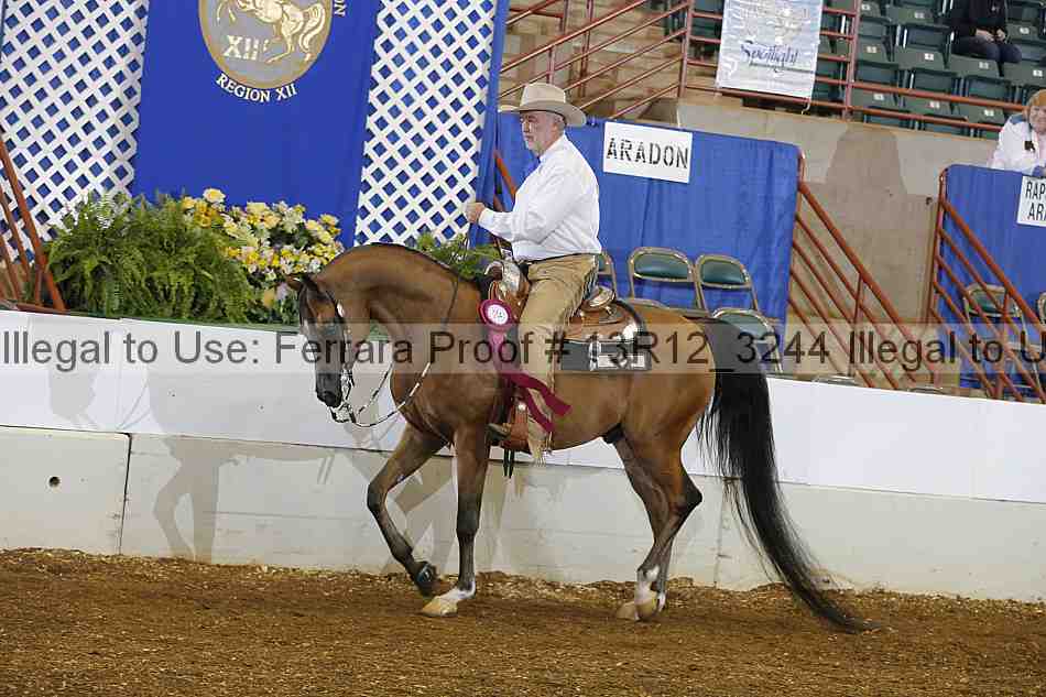 Proof Number 13r12_3244