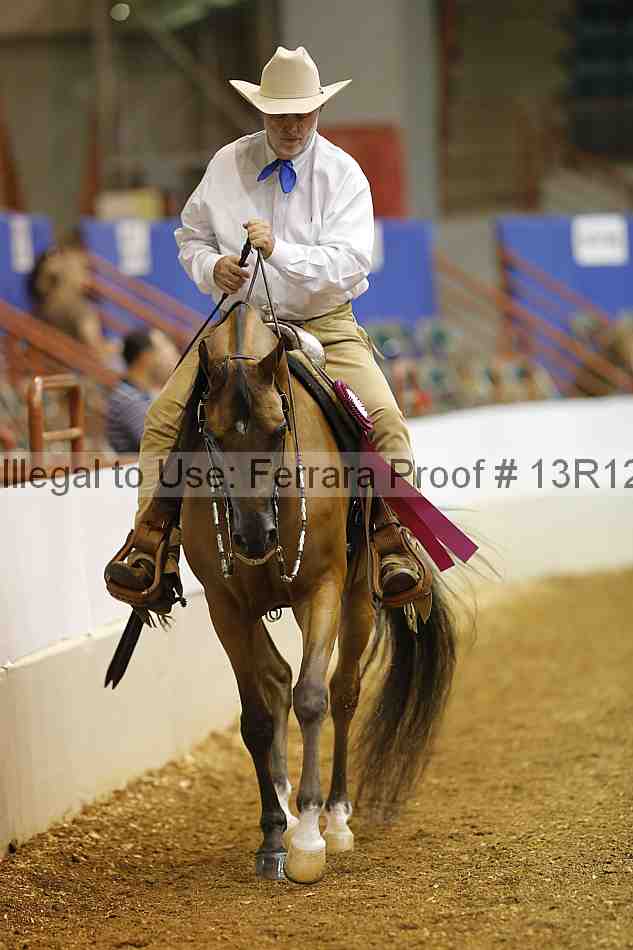 Proof Number 13r12_3245