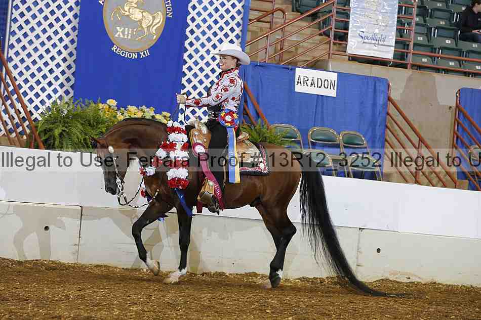 Proof Number 13r12_3252