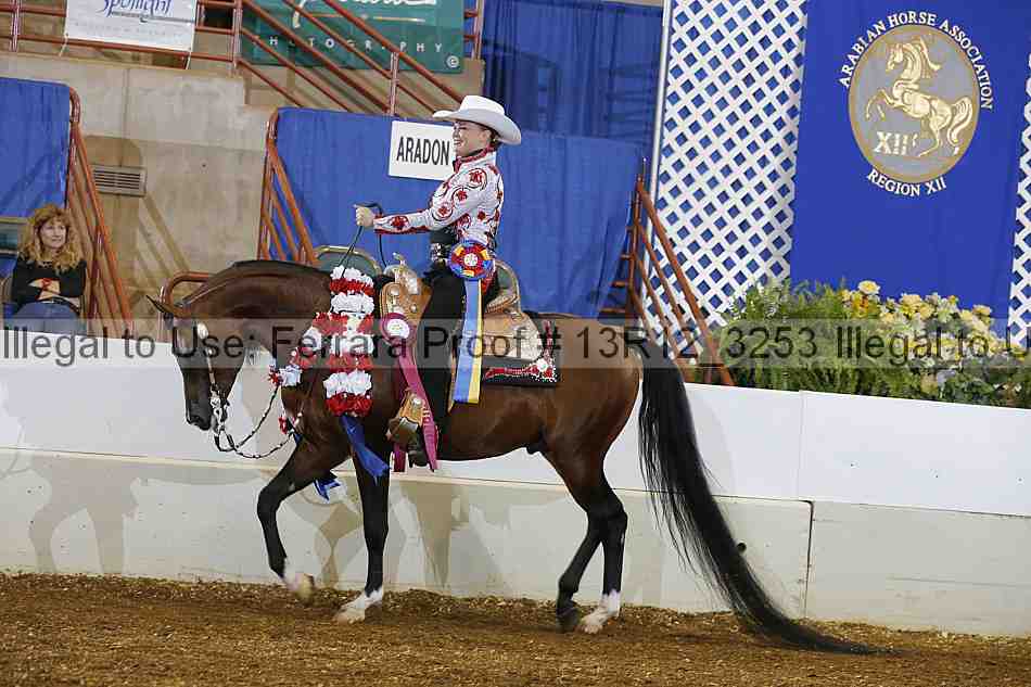 Proof Number 13r12_3253