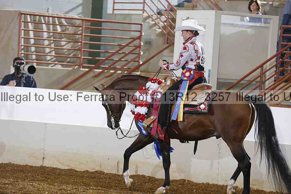 Proof Number 13r12_3257