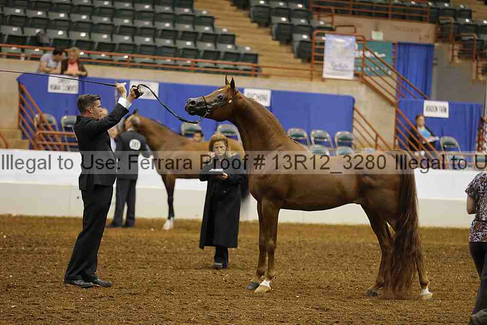 Proof Number 13r12_3280