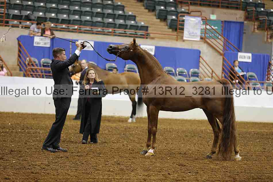 Proof Number 13r12_3281