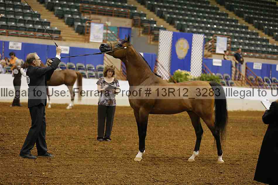 Proof Number 13r12_3283