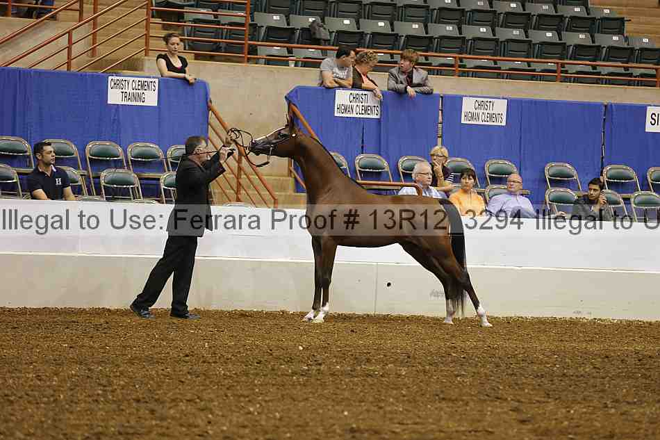 Proof Number 13r12_3294