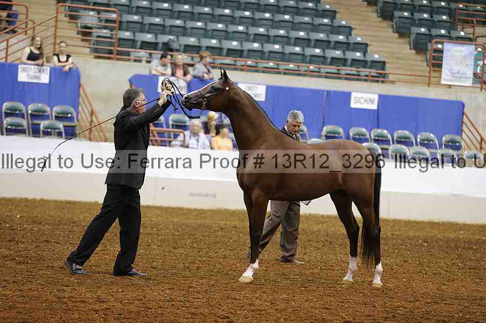 Proof Number 13r12_3296