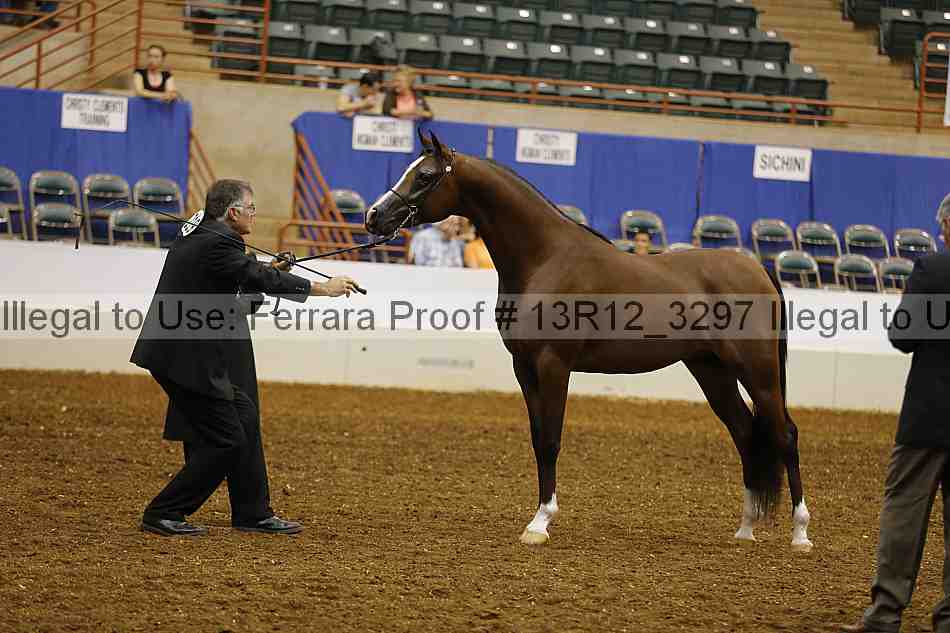 Proof Number 13r12_3297