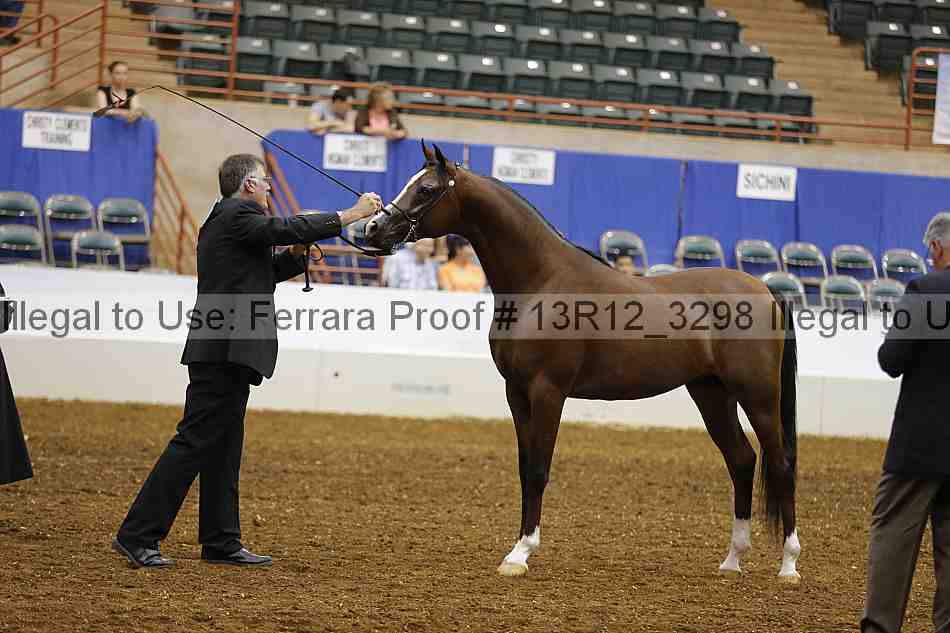Proof Number 13r12_3298