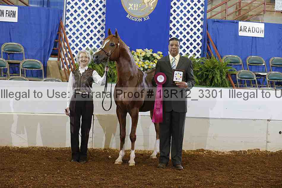 Proof Number 13r12_3301