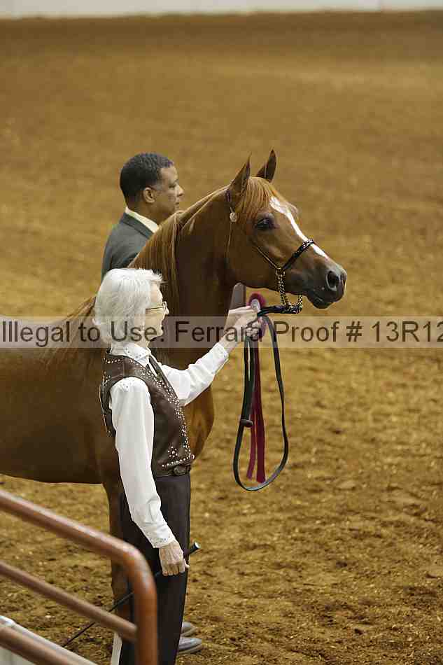 Proof Number 13r12_3303