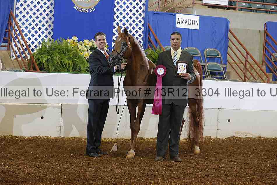 Proof Number 13r12_3304